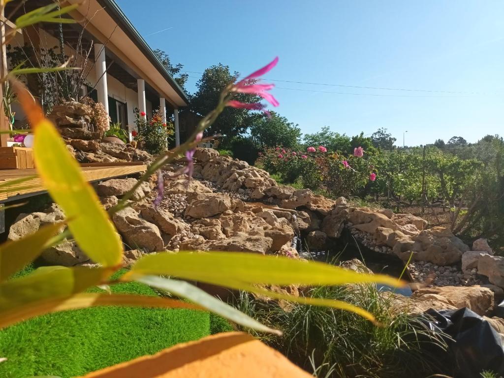 un jardín de rocas frente a una casa en Casita da Floresta, en Ferreira do Zêzere