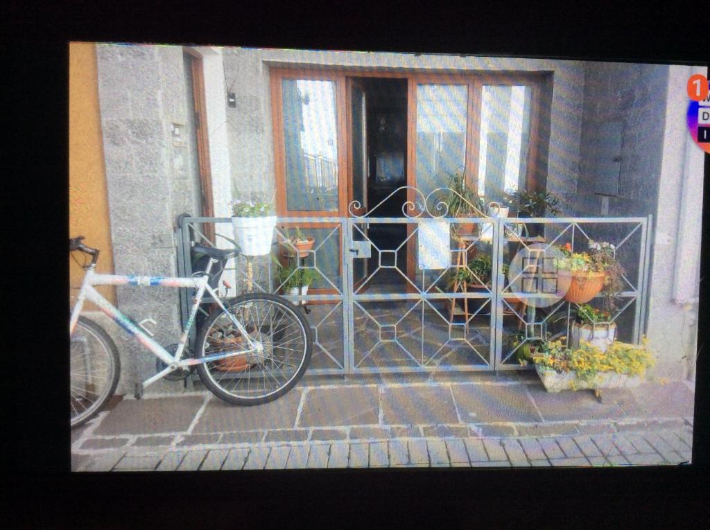 rower zaparkowany przed drzwiami z roślinami w obiekcie Easy connections by train from Malpensa/Como/Milan w mieście Fino Mornasco