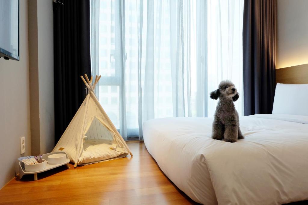 Hotel Peyto Gangnam - Pet Friendly Zen Double Room