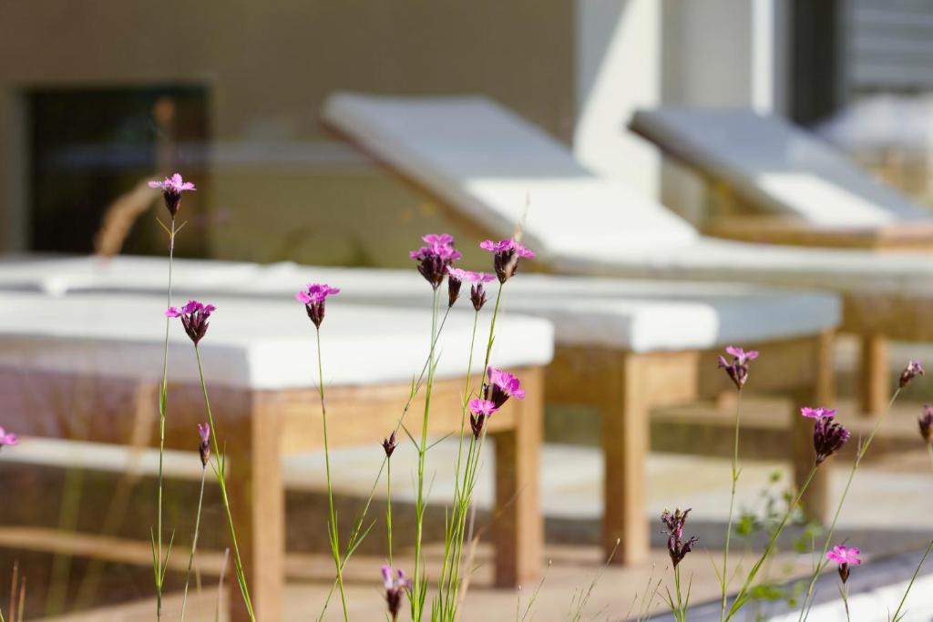 Aed väljaspool majutusasutust Wellness Hotel Stoos