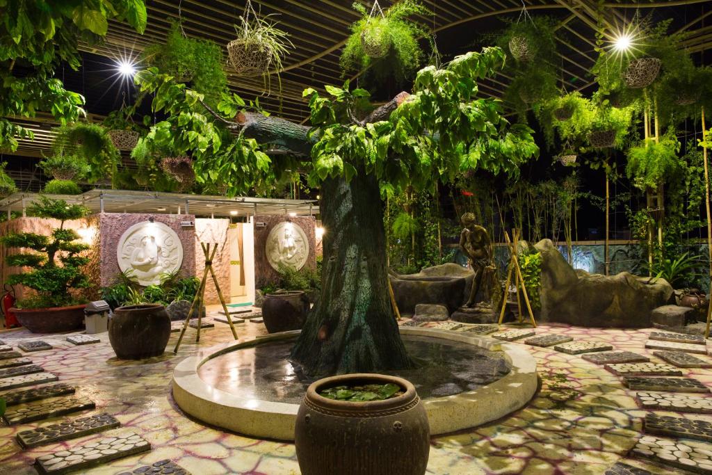 Vườn quanh Galina Hotel & Spa