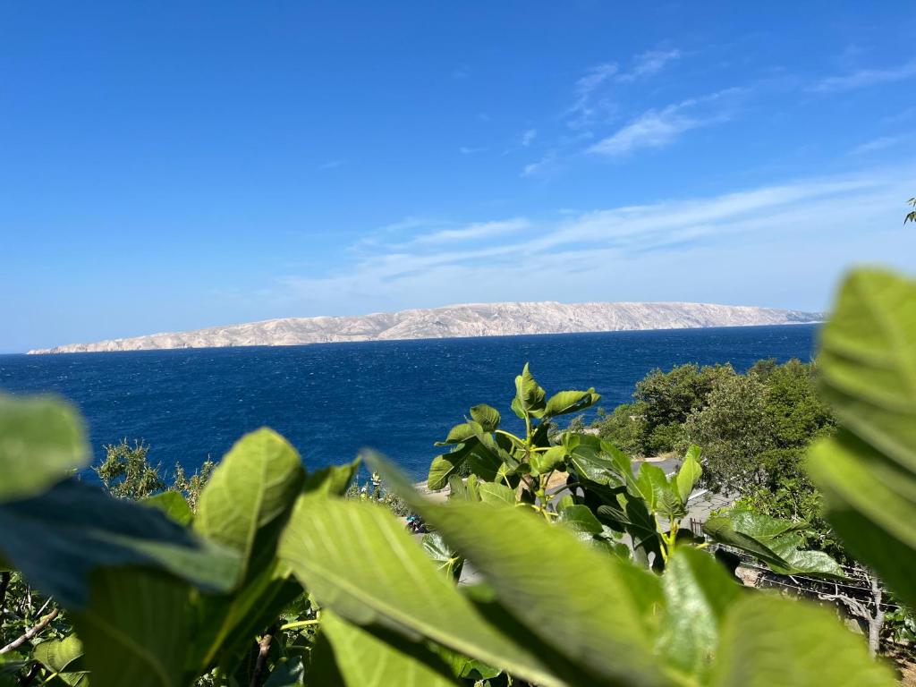 Fotografie z fotogalerie ubytování Apartmani Tomljanović v destinaci Senj