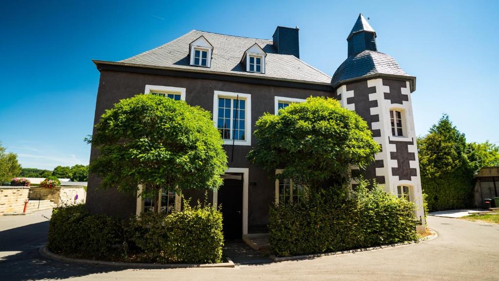Clemency的住宿－Château de Clemency，一座黑白房子前面有树木