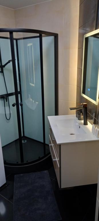 ein Bad mit einer Dusche, einem Waschbecken und einem Spiegel in der Unterkunft ML Place 3 in Liepāja