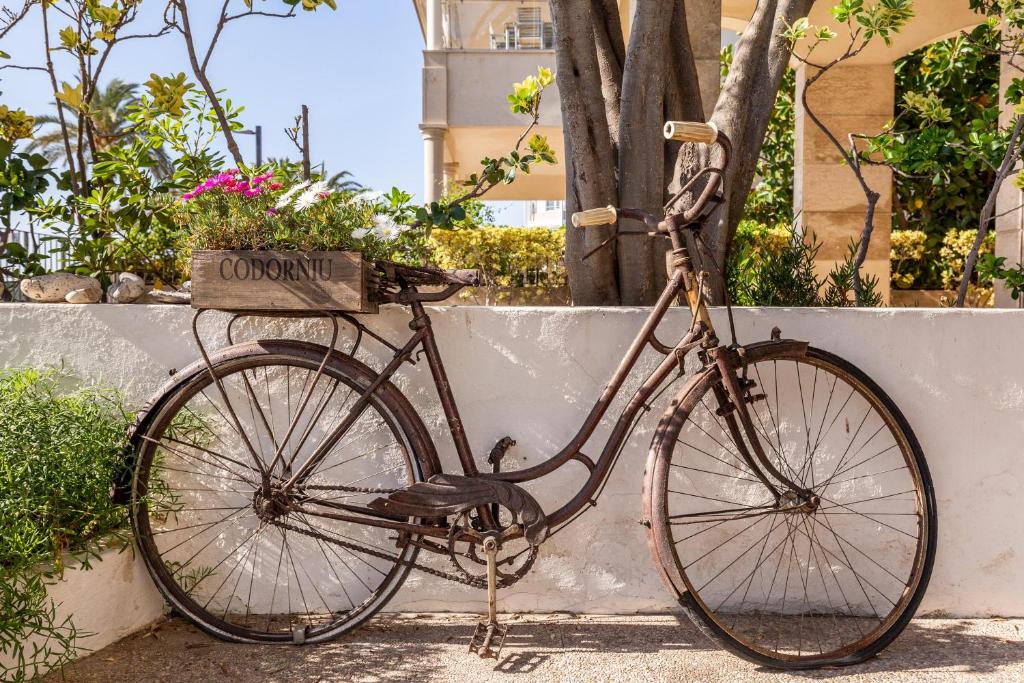 Jazda na bicykli v okolí ubytovania Londres 30