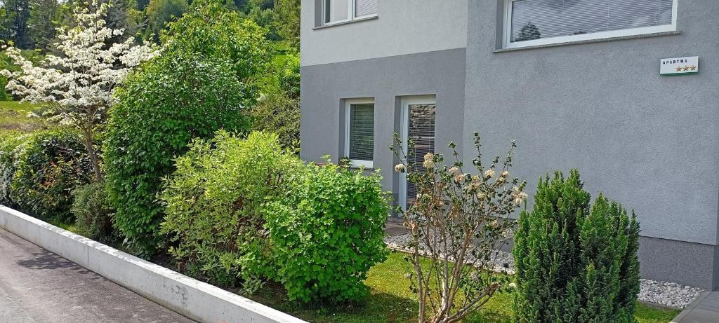 Zahrada ubytování Alpes
