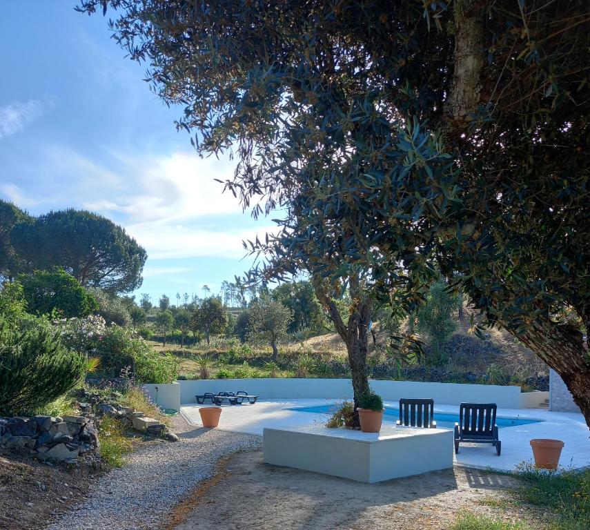 a swimming pool with two benches under a tree at Vale de Garcia in Colos