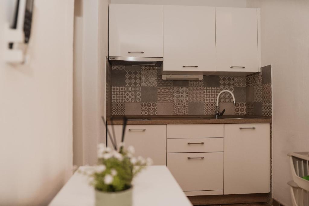 Kuchyňa alebo kuchynka v ubytovaní Apartments Prce