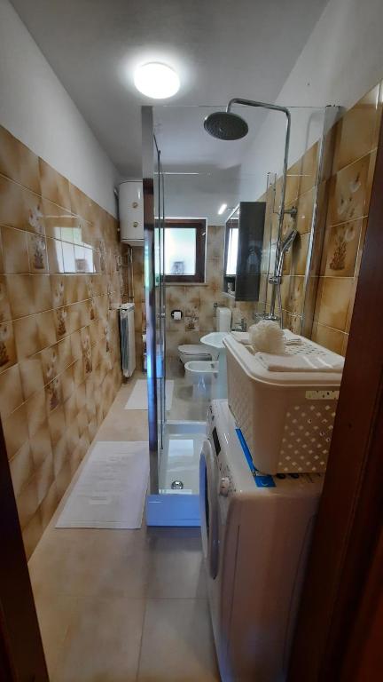 Koupelna v ubytování Apartma Bajc