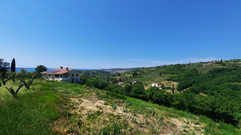 Příroda nedaleko apartmánu