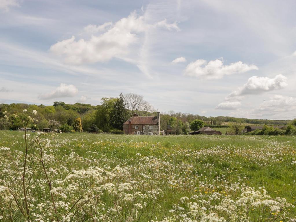 a field of white flowers in front of a barn at 2 Court Farm in Wareham