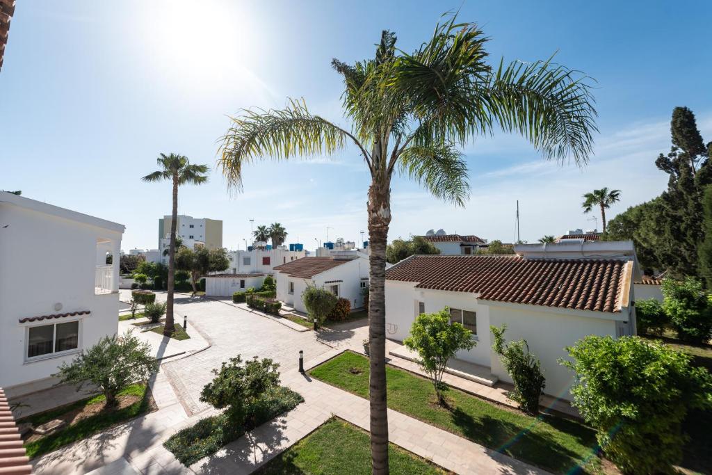 a palm tree in the middle of a courtyard at Fig Tree Z Holiday Resort in Paralimni