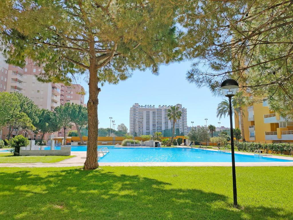 een zwembad in een park met een boom bij Global Properties, Practico apartamento con piscina en Residencial Brezo Canet in Canet de Berenguer