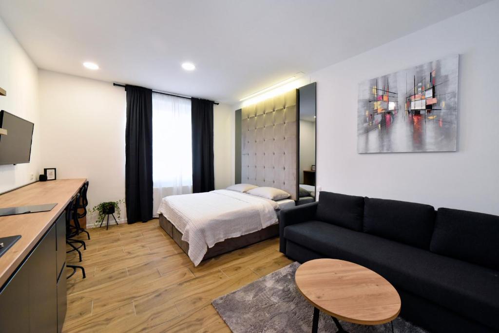 Olimp Apartments, 3rd Floor, no elevator - 国王工作室配沙发床