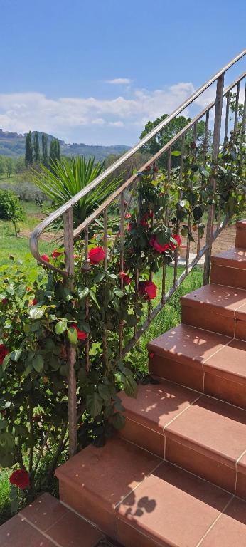 Ogród w obiekcie Casa Vacanze Cerreto 2