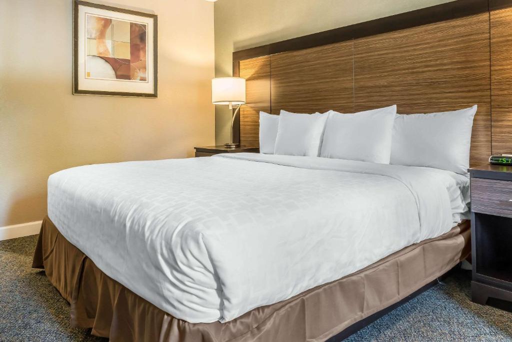 Clarion Inn Belle Vernon - Camera King Con Divano Letto - Non Fumatori