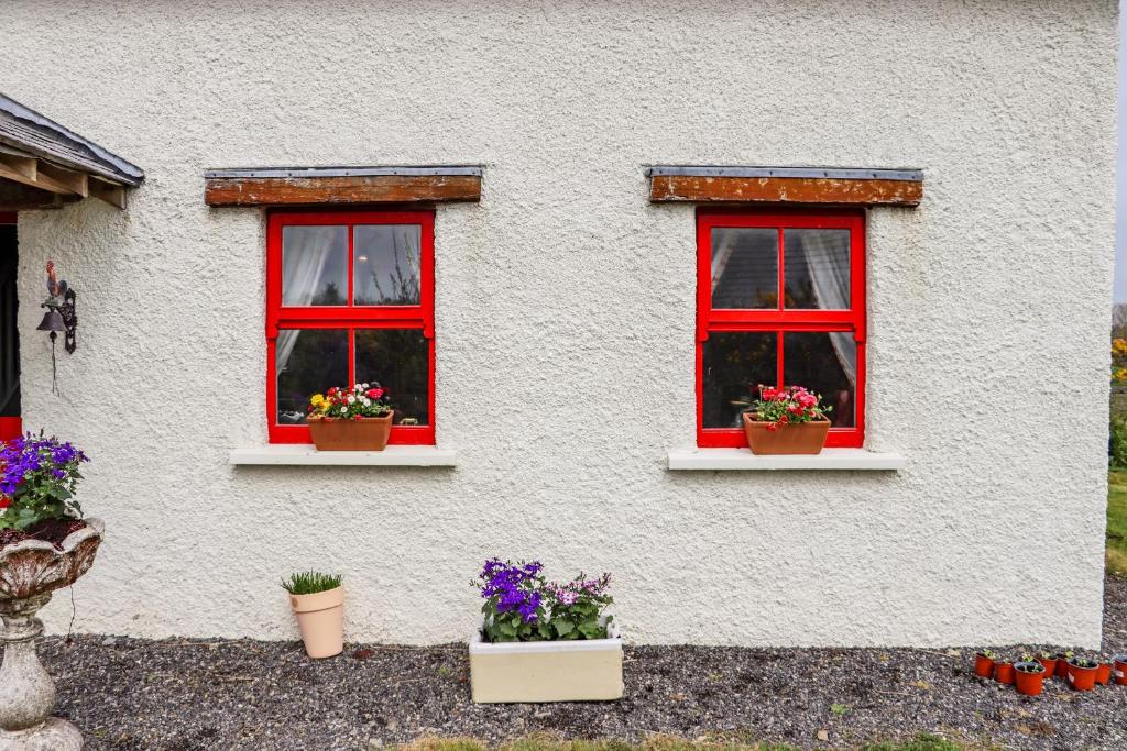 Zahrada ubytování Cob Cottage