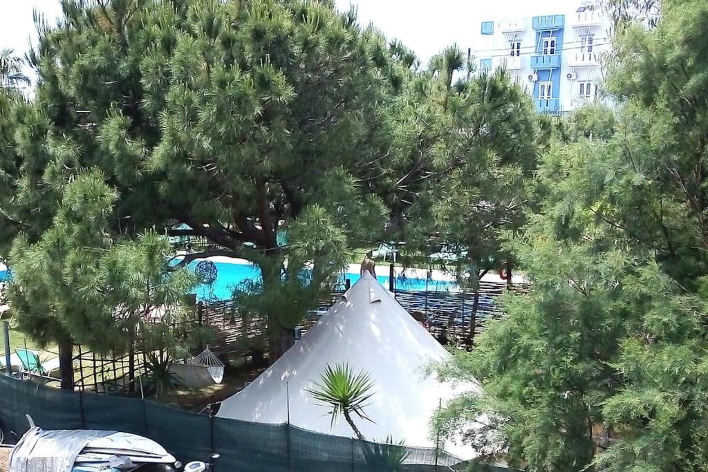 Bazén v ubytování Happy Glamping nebo v jeho okolí