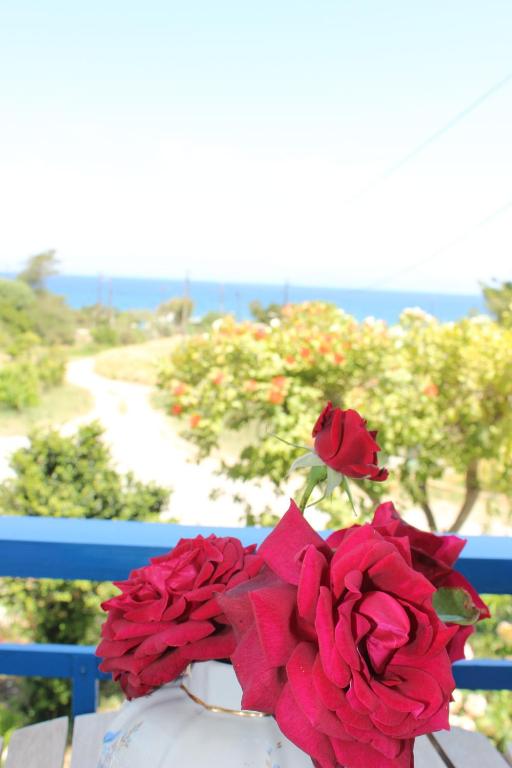 un vaso pieno di rose rosse su una panchina di K Farm House a Kalavárda