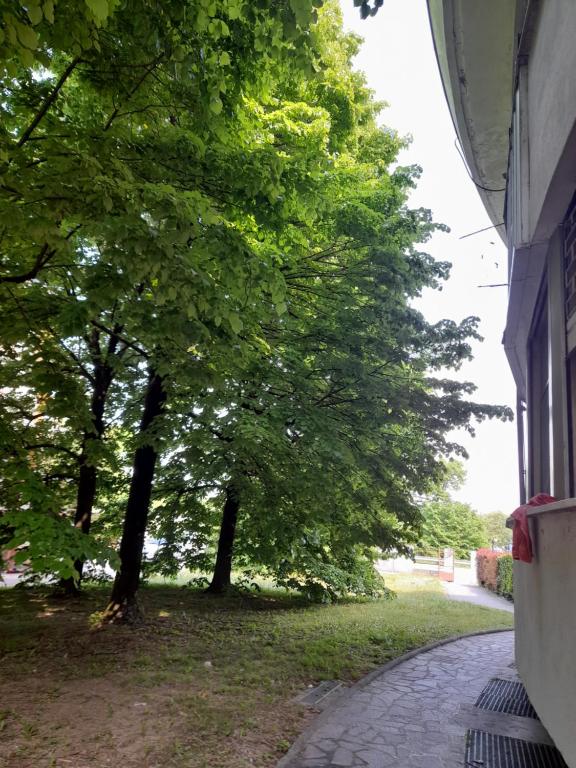 Zahrada ubytování CASA DI SOLE Appartamento a Crema