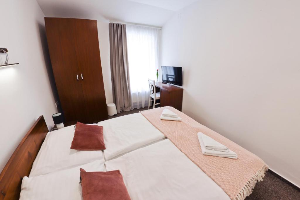 Hotel Slanica - Standard Double Room