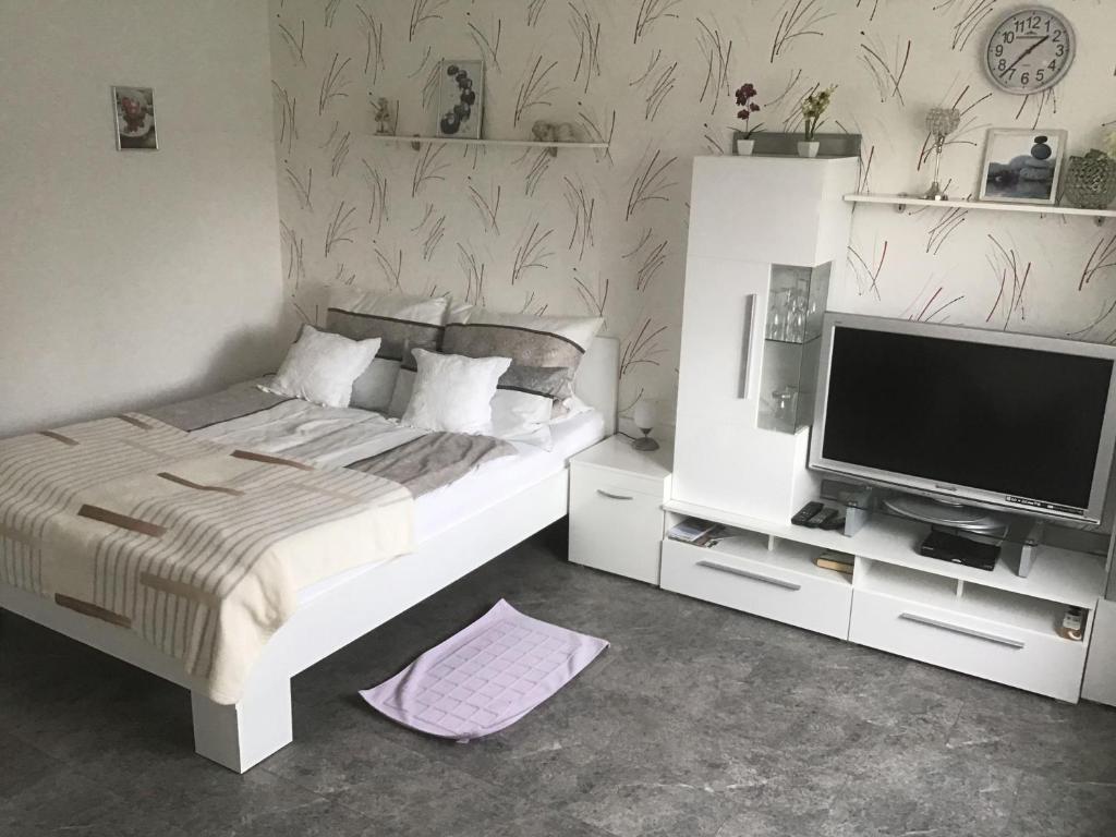 1 dormitorio con 1 cama y TV de pantalla plana en Haus-Irena-2, en Longkamp