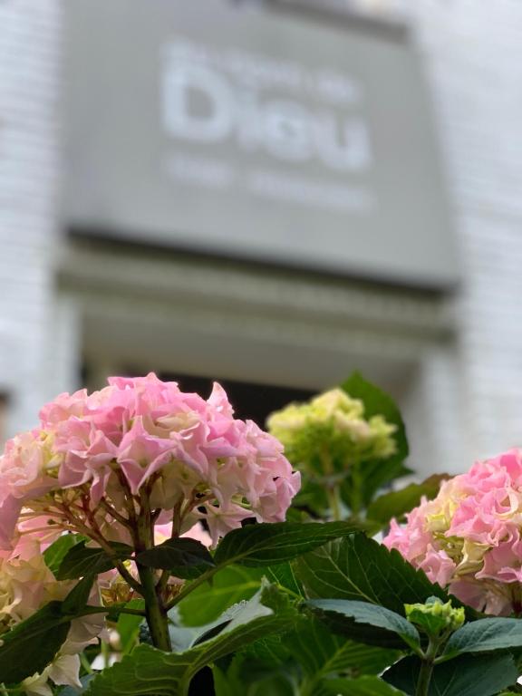Fotografie z fotogalerie ubytování Hotel Au Nom De Dieu v destinaci Dilsen-Stokkem