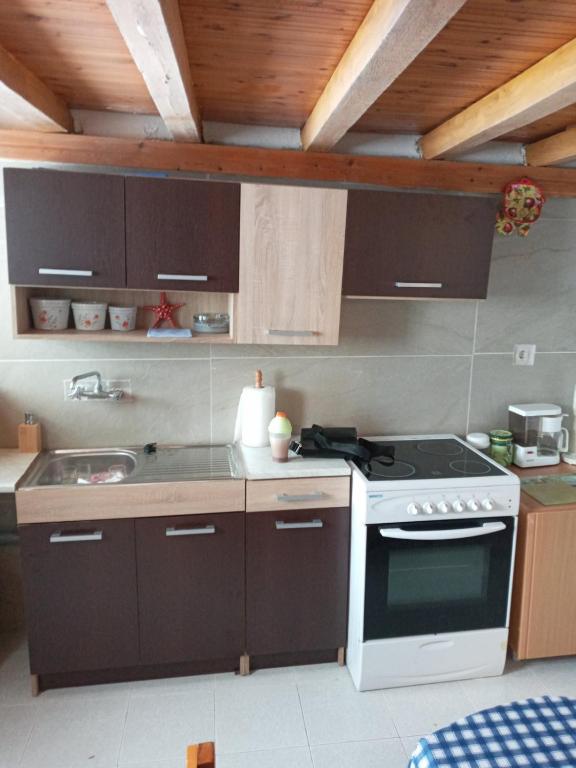 Kuchyňa alebo kuchynka v ubytovaní VILLA SISSY