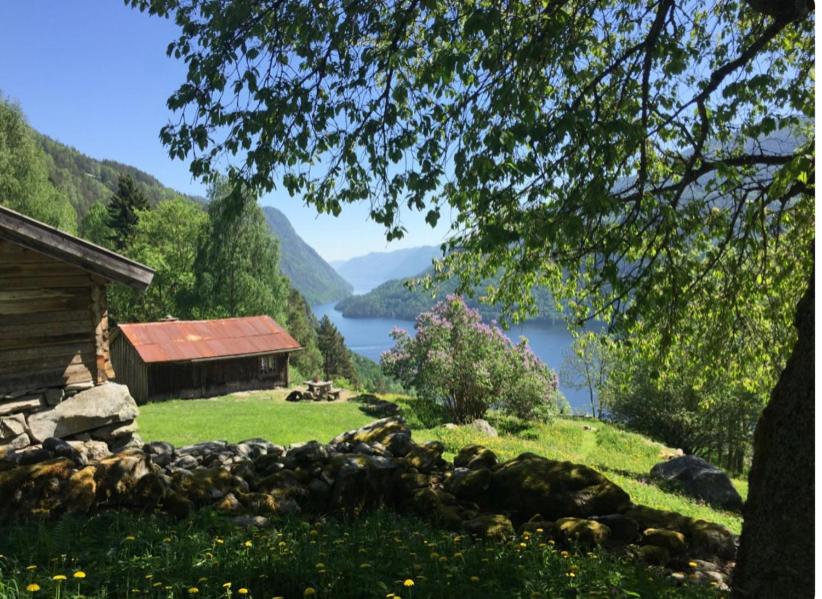 dom na wzgórzu obok zbiornika wodnego w obiekcie Dalen i Telemark holiday home with garden w mieście Dalen