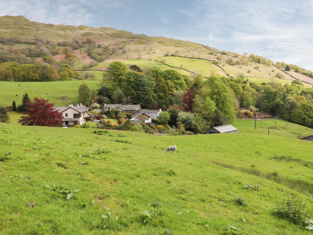 a green field with a house and a cow in a field at The Cedars in Ambleside