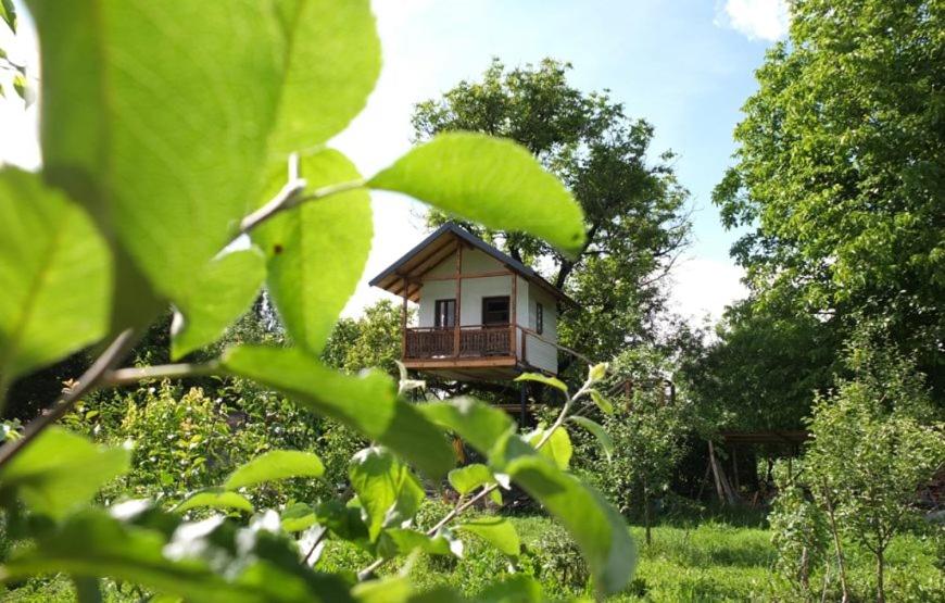 a small house in the middle of a field at Căsuța cu Miez - Treehouse in Vîlsăneşti