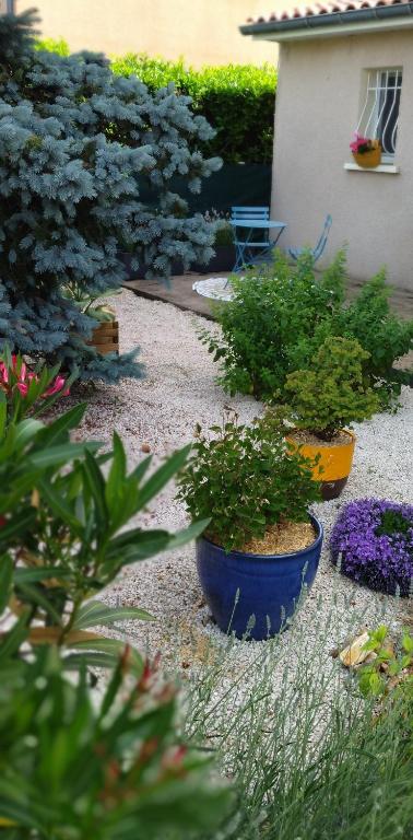 a garden with three large pots of plants at Fleurs de Cosmos in Albi