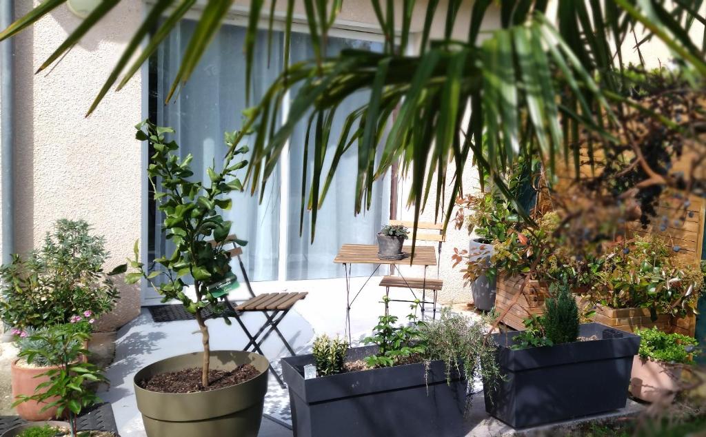 a group of potted plants on a patio at Fleurs de Cosmos in Albi