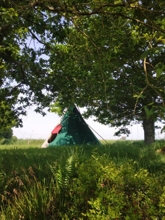 Příroda nedaleko luxury tent