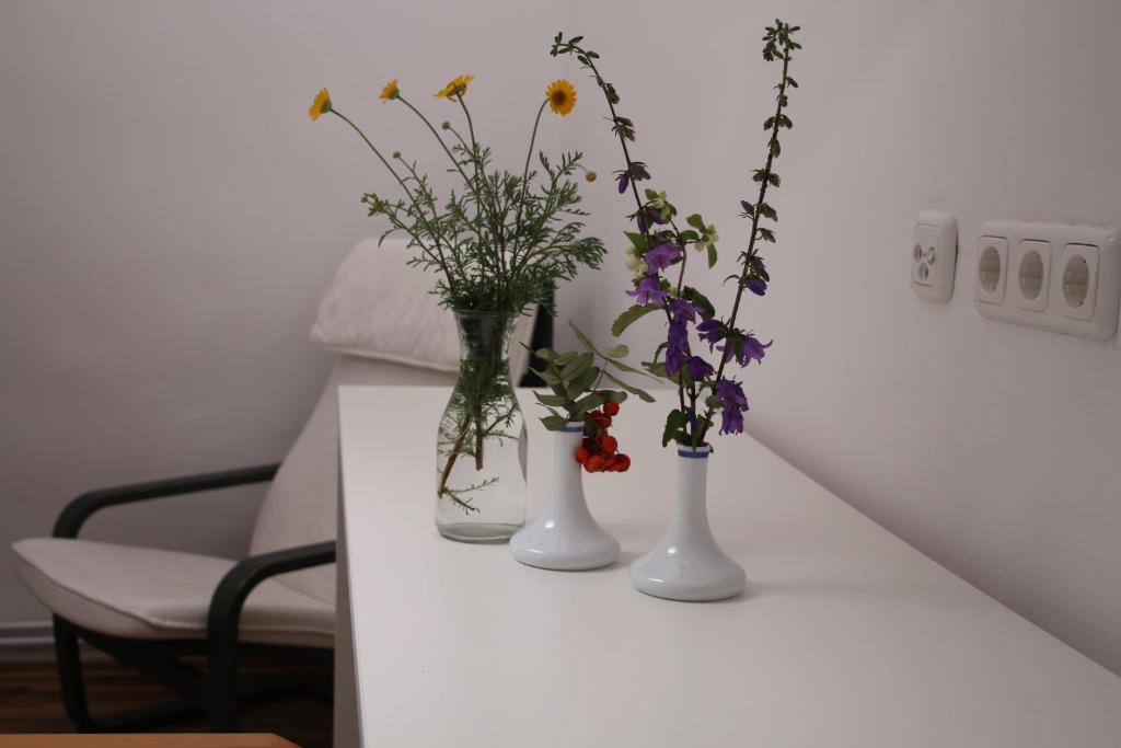 Hotel im Stift Neuberg - 19