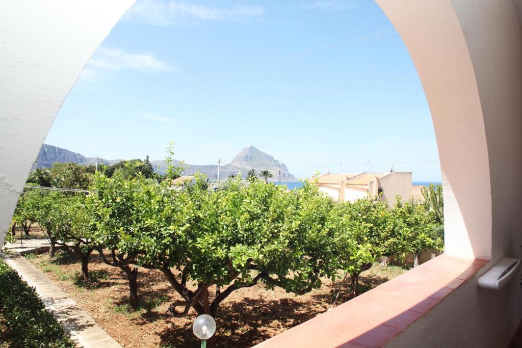 a view from the balcony of a row of orange trees at Country Villa San Vito Bay in San Vito lo Capo