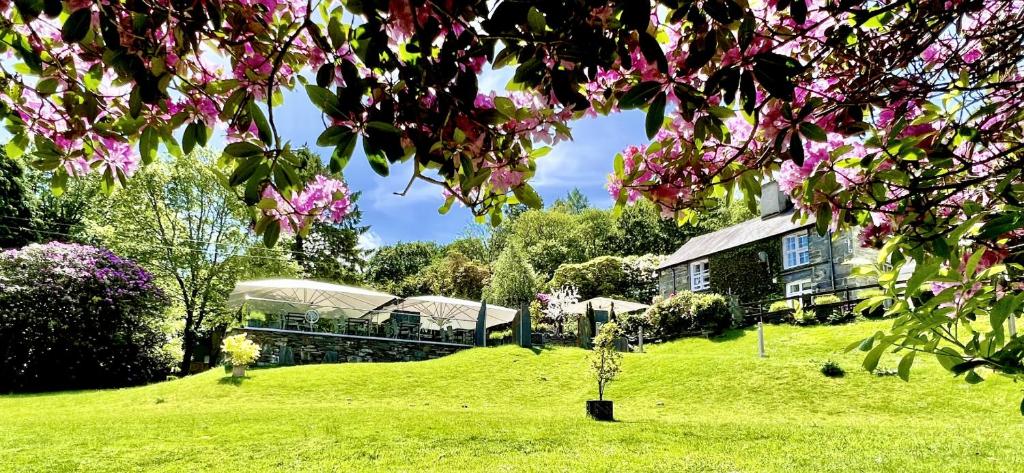 uma casa num campo verde com flores cor-de-rosa em Aberdunant Hall em Porthmadog