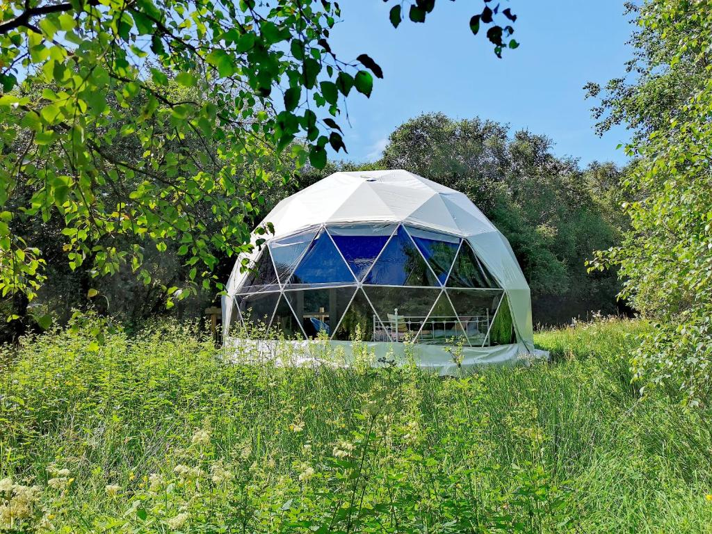 una serra in mezzo a un prato di Teapot Lane Glamping - Adults only a Sligo