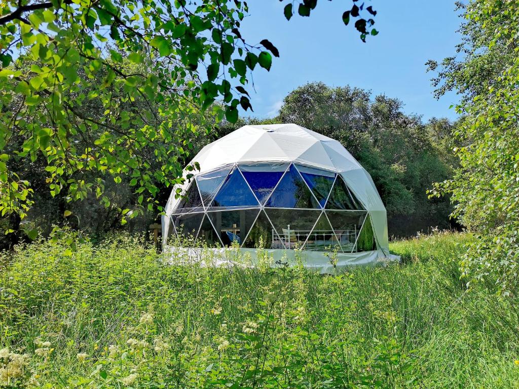 a greenhouse in the middle of a field of grass at Teapot Lane Glamping - Adults only in Sligo