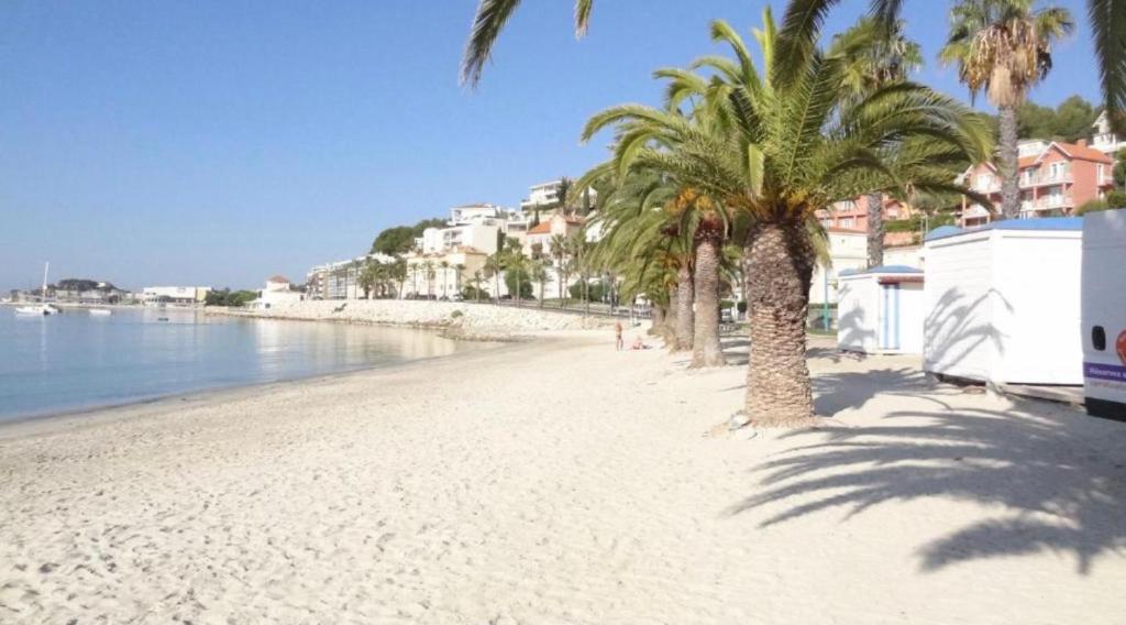 une plage avec des palmiers et l'eau dans l'établissement L Annexe 50m de la plage, à Bandol