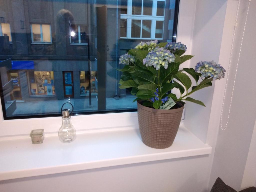 Fotografie z fotogalerie ubytování Pepleri 34 stuudio 11 v destinaci Tartu