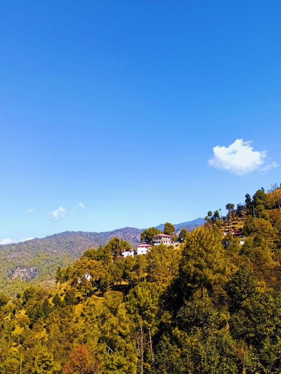 阿尔莫拉Boros Resorts Binsar的山顶上有树的房子