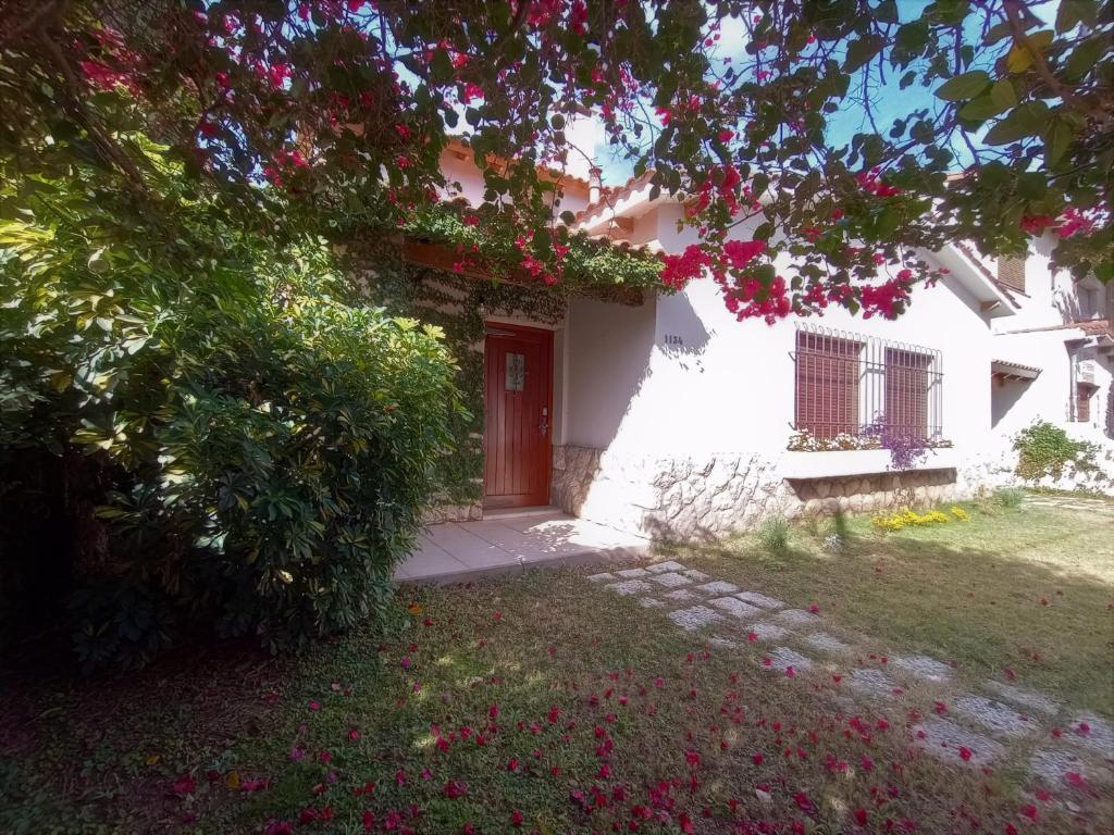 Zahrada ubytování Casa Lucerna