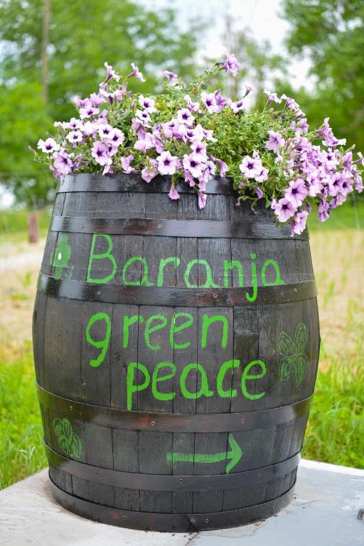 Vonkajšia záhrada v ubytovaní Baranja green peace