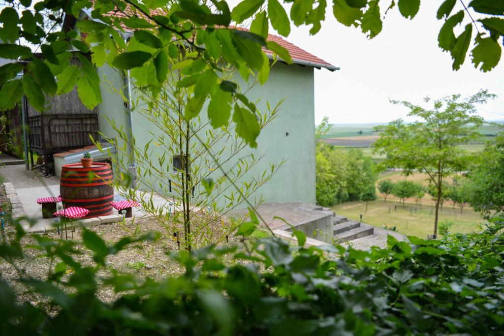 Vonkajšia záhrada v ubytovaní Baranja green peace