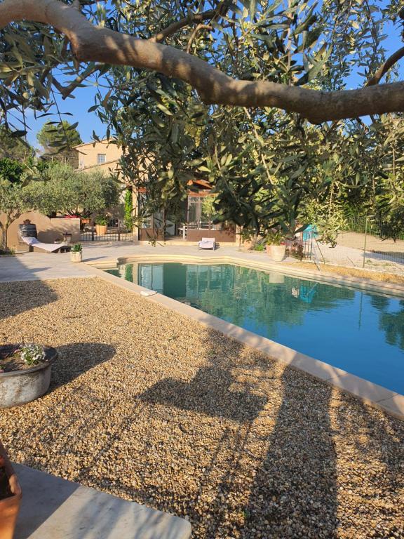 a swimming pool in a yard with a tree at Villa L'Estagniol in Lourmarin