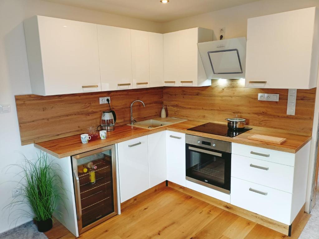 Kuchyň nebo kuchyňský kout v ubytování Apartmán u Ovečků - Nová Paka