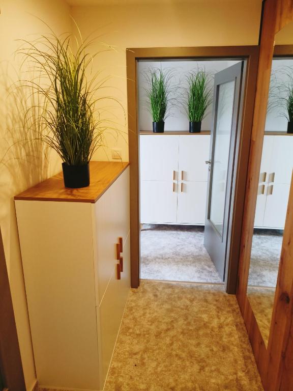 Fotografie z fotogalerie ubytování Apartmán u Ovečků - Nová Paka v Nové Pace