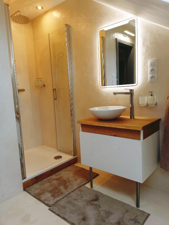Koupelna v ubytování Apartmán u Ovečků - Nová Paka