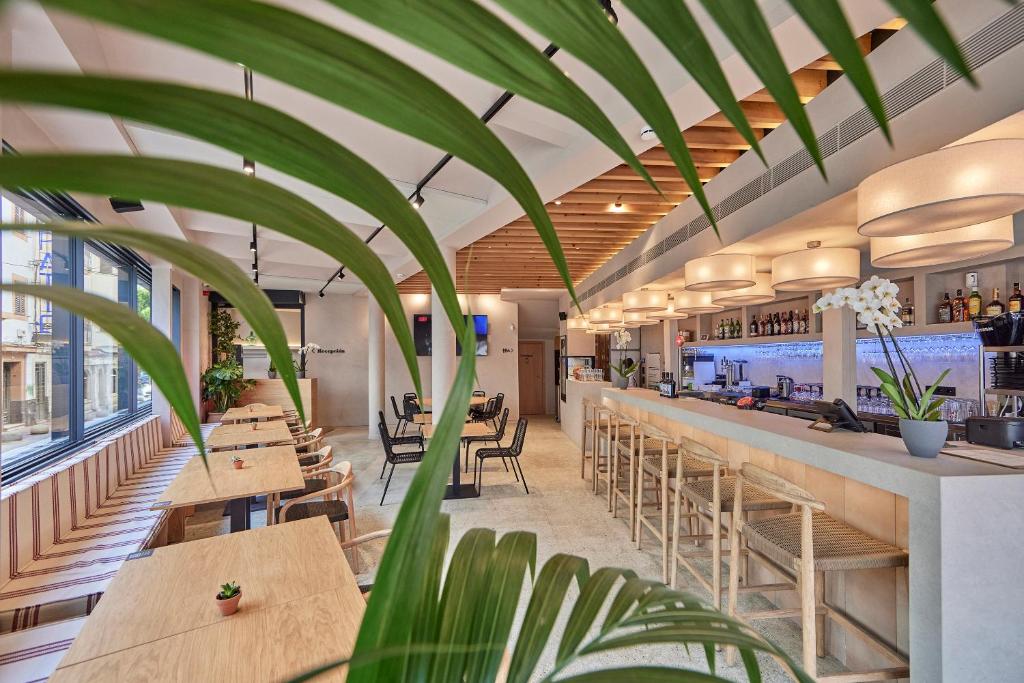 JOE'S GOMILA BOUTIQUE HOTEL - Resim 11